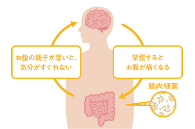 脳内相関